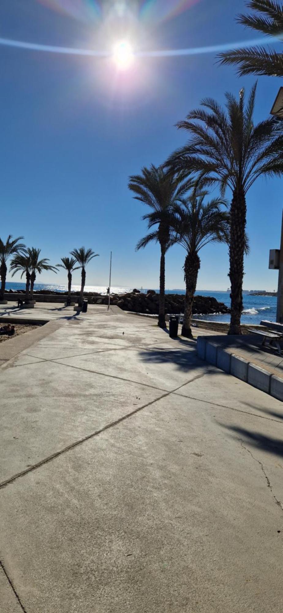 Apartments On The Beach In Torrevieja Extérieur photo